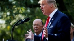 Bộ trưởng Thương mại Mỹ Wilbur Ross trong một cuộc họp báo với Tổng thống Trump.