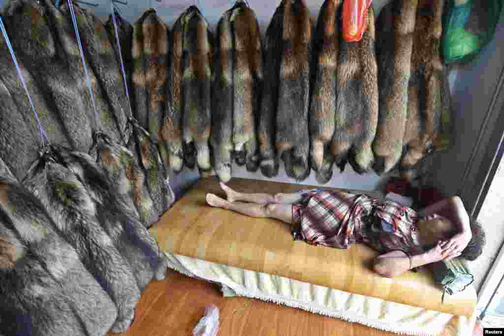 Nhà buôn nằm nghỉ bên trong một cửa hàng bán lông chồn của mình ở chợ lông thú, thành phố Trùng Phúc, tỉnh Chiết Giang, Trung Quốc.