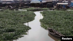 A 2011 global survey aimed at guiding city planners show African megacities at especially high risk from rising sea levels. Above, a Hyacinth-covered lagoon near the Makoko slum in Lagos, Nigeria, Oct. 2011 (file photo).