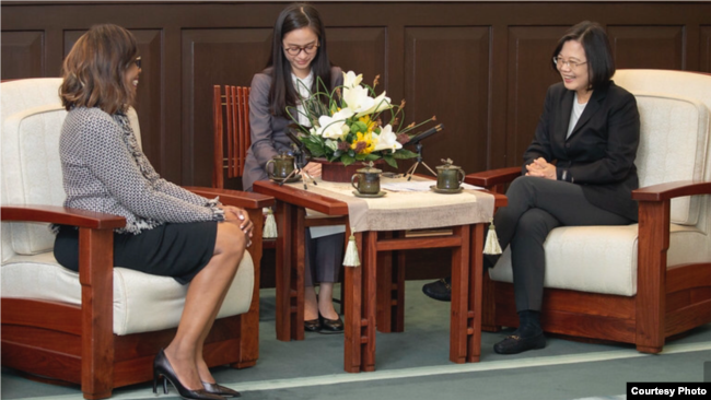 台湾总统蔡英文2019年11月8日接见美国医师会访问团(台湾总统府提供)
