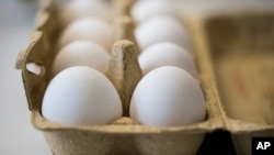 Eggs are kept fresh in a laboratory of the Chemical and Veterinary Investigation Office in Krefeld, Germany, Aug. 7, 2017. Dutch investigators detained two men Thursday who are suspected of being involved in the illegal use of pesticide at poultry farms that sparked a massive food safety scare in several European countries.