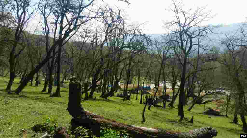 پارک جنگلی جوارم، استان مازندران عکس: آزاد آذرخش (ارسالی شما) 