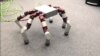 Modular Robot Getting Closer to Reality