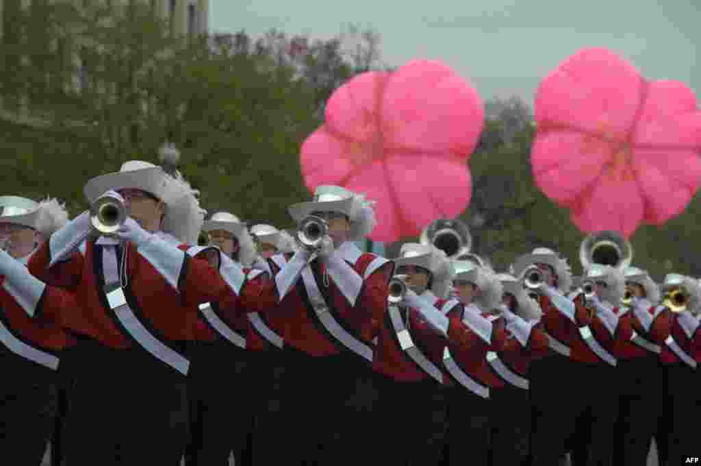 Вашингтон – праздник с японским акцентом