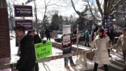 New Hampshire Primary Voters Speak Out