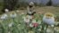 FILE - A soldier stands guard beside poppy plants before a poppy field is destroyed during a military operation in the municipality of Coyuca de Catalan, Mexico, April 18, 2017.
