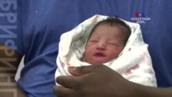 SHORT VIDEO: Փոքրիկ Դրիան լույս աշխարհ եկավ գազանանոցում