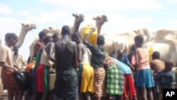 Alley Baday: Ceelkii Dameero-Boob oo Jabay