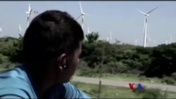 အမေရိကန်ထဲ တရားမဝင်ဝင်လာတဲ့ လူငယ်တွေအရေး