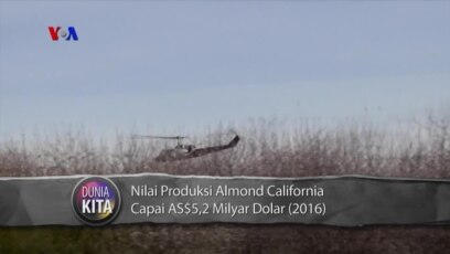 VOA Dunia Kita: Jalan-jalan di San Francisco (3)