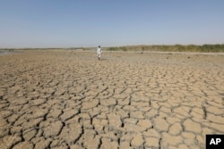 A fisherman stands on a dry ground in the Chibaish marshes during low water levels in Nasiriyah of southern Iraq on June 16, 2022. (AP Photo/ Nabil al-Jurani)
