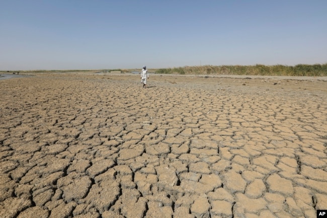 A fisherman stands on a dry ground in the Chibaish marshes during low water levels in Nasiriyah of southern Iraq on June 16, 2022. (AP Photo/ Nabil al-Jurani)