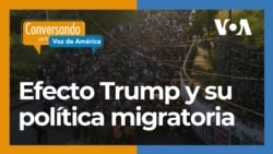 Deportaciones masivas y cierre de fronteras: el regreso de Donald Trump (segunda parte)
