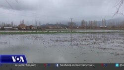 Zgjerohet harta e përmbytjeve në Nënshkodër