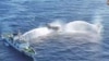 In this frame grab from aerial video footage taken on March 5, 2024, and released by the Philippine coast guard, Chinese coast guard ships deploy water cannons at a Philippine military-chartered civilian boat during its its supply mission in the South China Sea. 