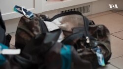 Наша американская история. Сельский доктор c Аляски