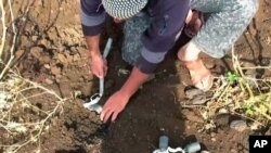 A volunteer deminer collects several cluster munitions from the ground in Daraa, Syria. (Syrian Center for Demining and Rehabilitation)