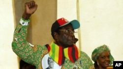 President Robert Mugabe's party says every party-carrying member will be able to vote in the primary elections