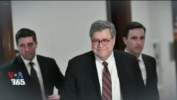 اخبار شامگاهی