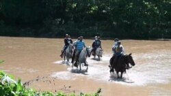At Üstünde Aşı Olmaya Gidiyorlar
