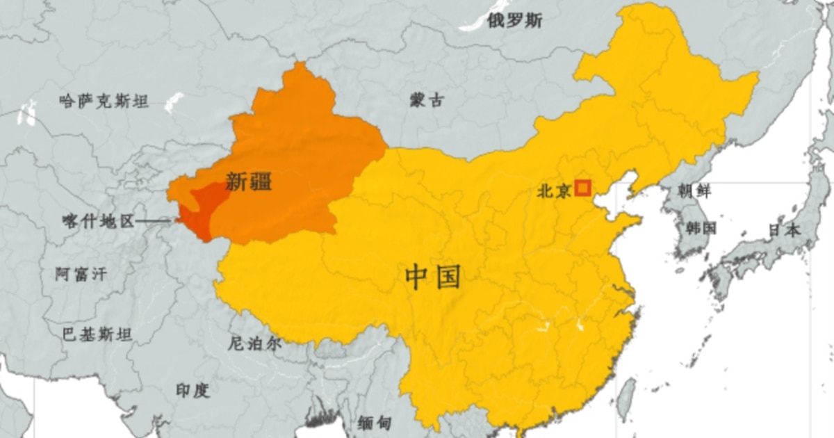 新疆生产建设兵团的体制与运行研究　Amazon4万円 新疆生产建设兵团的体制与运行研究 Amazon4万円 - メルカリ