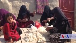 زنی که برای پنج هزار زن شغل آفریده است