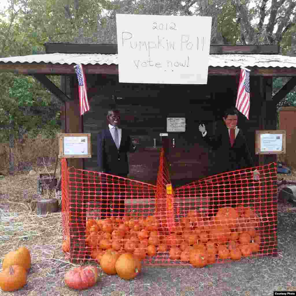 稻草人扮成候选人呼吁民众投票( By Thomas Szymoniak)