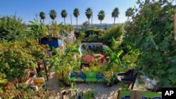 This photo provided by Lucky Atkare shows an urban garden in Los Angeles. Interest in gardening has grown around the country. And urban gardeners say it's particularly important for the health and resiliency of city neighborhoods. (Lucky Atkare via AP)