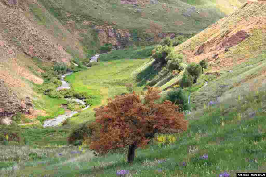 Ji Bajarok&#234; Elbak&#234; (Başkale) &#199;end W&#234;ne Travertena