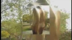 تخریب و سرقت مجسمه های شهر تهران