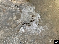 This undated photo shows mold growing where a bag of Cheetos was dropped off the trail in the Big Room at the national park near Carlsbad, N.M. (Carlsbad Caverns National Park via AP)