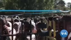 Ayyaana Cuuphaa, Amboo