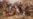 Did the Pilgrims Really Invent Thanksgiving?