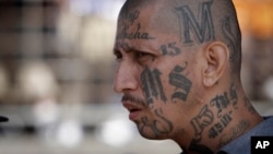 La Mara Salvatrucha (MS-13) nació en las calles de Los Ángeles, California, en la década de los 80.