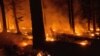 Biden Bahas Amukan Kebakaran Hutan dengan Sejumlah Gubernur AS