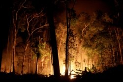 FILE - A fire burns a tract of Amazon jungle as it is cleared by loggers and farmers near Porto Velho, Brazil, Aug. 31, 2019.