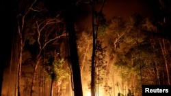 A fire burns a tract of Amazon jungle as it is cleared by loggers and farmers near Porto Velho, Brazil, Aug. 31, 2019.