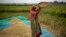 FILE - A farmer drops rice crop while working in a paddy field on the outskirts of Guwahati, India, on June 6, 2023. 