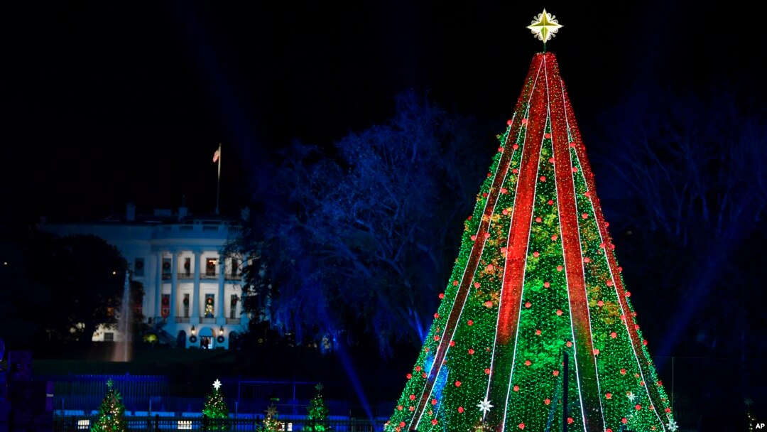 The National Christmas Tree in President's Park on the Ellipse in Washington, Nov. 28, 2018, with the White House in the background.