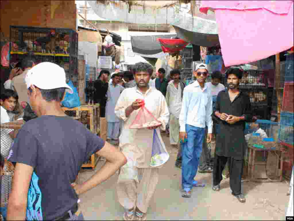 عام طور سے بھی اس مارکیٹ میں رش ہوتا ہے، جبکہ اتوار کو تو جیسے پرندوں کا اتوار بازار سجتا ہے
