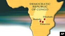 RDC : l’ombre de Chebeya plane sur le cinquantenaire