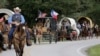 Children and Cattle Compete at Houston Rodeo