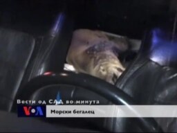 Вести од САД во минута