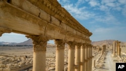 An aerial view shows sections of the columns in the ancient city of Palmyra, Syria, Jan. 25, 2025.