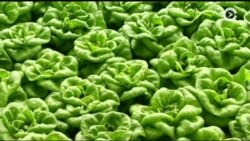 Настоящее Время. Америка – 3 марта 2017