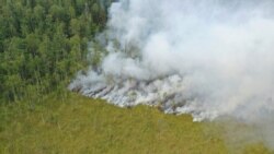 An aerial view of a forest fire in Pryazhinsky District on , July 21, 2021. Thousands of wildfires engulf broad expanses of Russia each year, destroying forests and shrouding regions in acrid smoke.