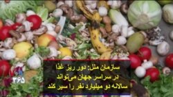 سازمان ملل: دور ریز غذا در سراسر جهان می‌تواند سالانه دو میلیارد نفر را سیر کند