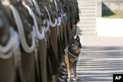 A new Polish private checks in with his handler during a ceremony in Nowy Dwor Mazowiecki, Poland, Sept. 6, 2024.