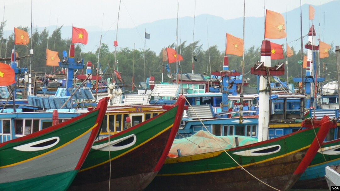 Tàu đánh các của ngư dân Việt Nam ở đảo Lý Sơn, Quảng Ngãi. Theo các chuyên gia, Việt Nam đang tăng cường lực lượng đánh bắt cá tự vệ trên biển để bảo vệ chủ quyền trước Trung Quốc.