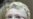 Ucrania condena a Tymoshenko